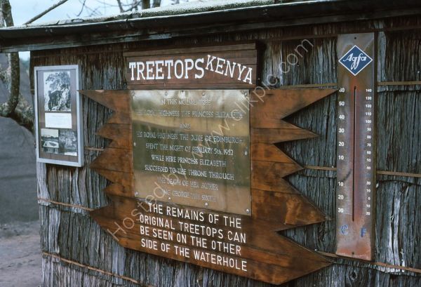 Treetops Hotel, Kenya